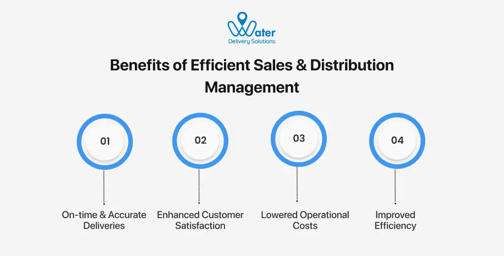 ravi garg, wds, benefits, sales and distribution management, on-time and accurate deliveries, customer satisfaction, operational costs, efficiency